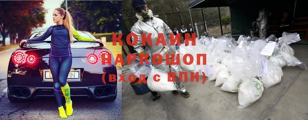 мет Бородино