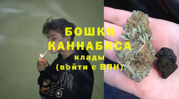 мет Бородино