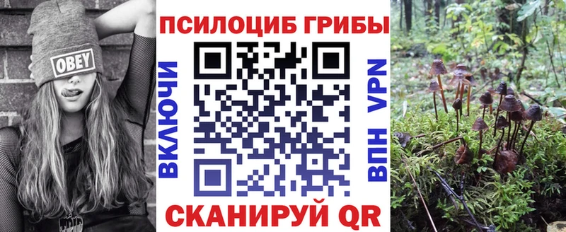 продажа наркотиков  Назарово  Псилоцибиновые грибы мухоморы 